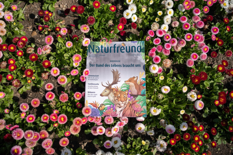 eine Zeitschrift mit einem Bild von einem Reh und einem Blumenbeet 