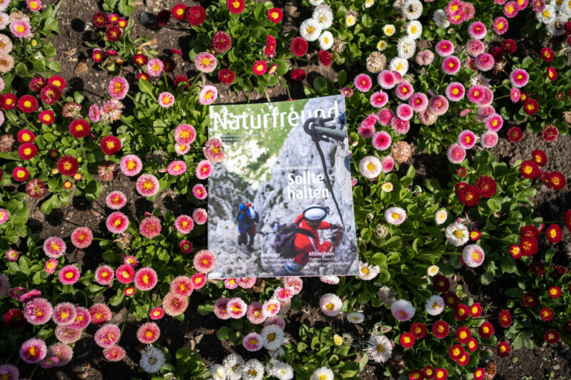 natureland magazine zu den Blumen 