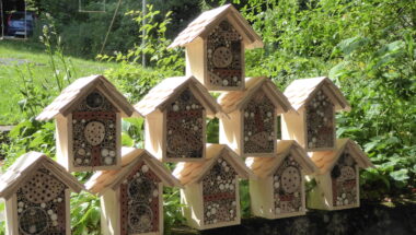 Häuschen mit Holz für Wildbienen