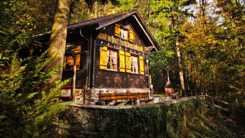ein kleines Holzhaus, das im Wald steht 