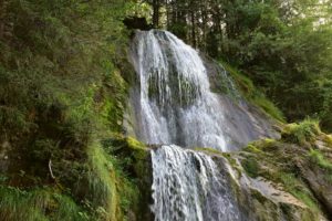 ein Wasserfall im Wald 